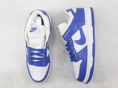 Nike SB Zoom Dunk Low Modelo 214M - Modo Zapatillas | zapatillas en descuento 